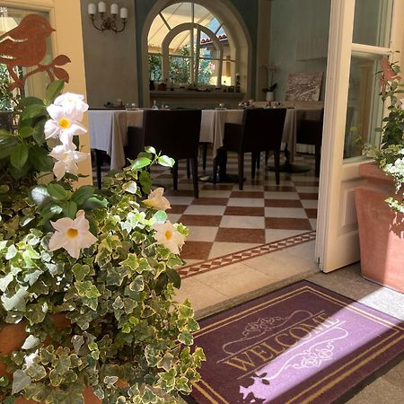 Villa Palmira Kinderfreies Hotel Cannobio Kültér fotó