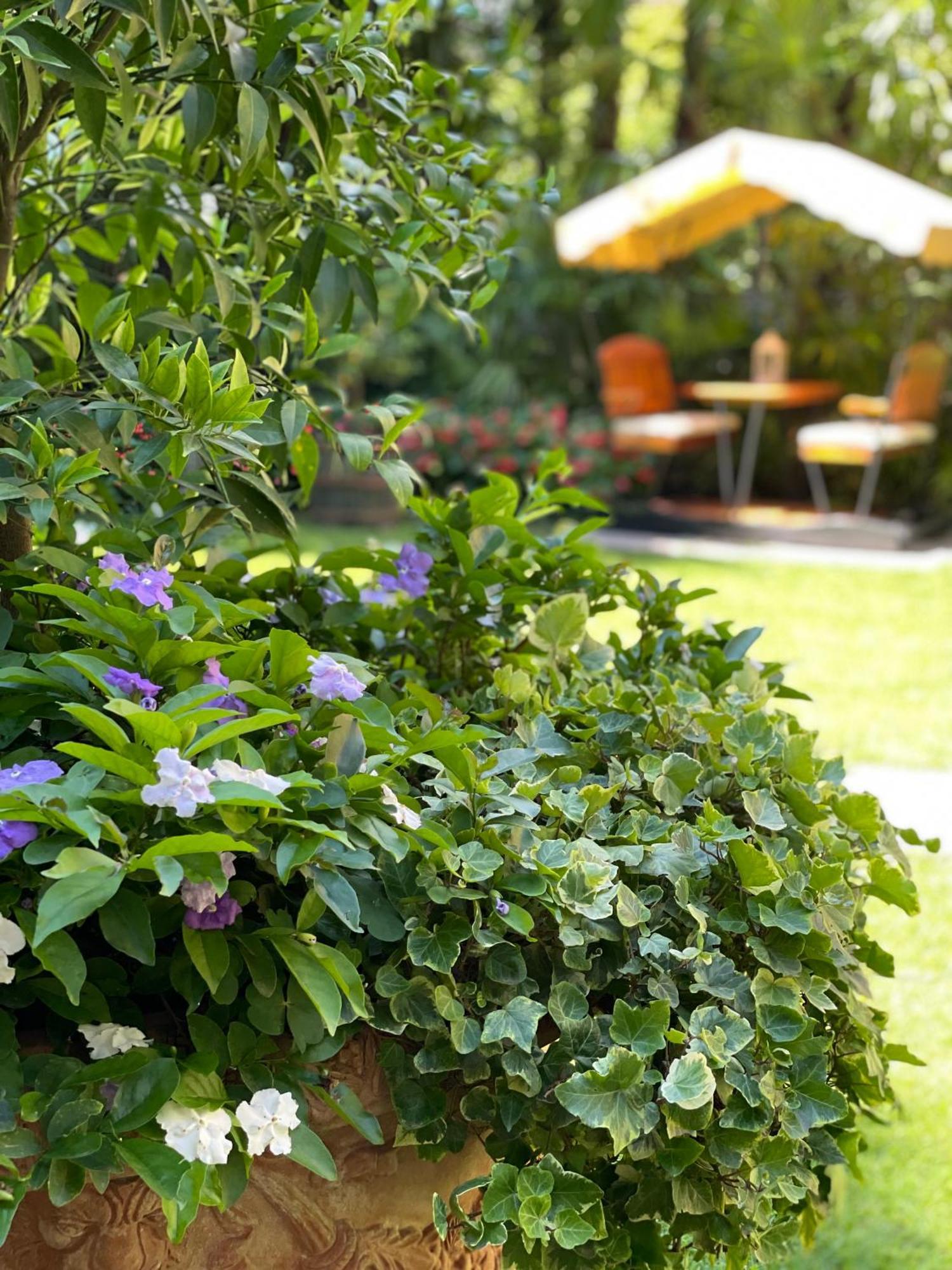 Villa Palmira Kinderfreies Hotel Cannobio Kültér fotó